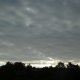 DSCN0091