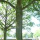 K19_01962