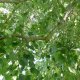 K19_02866
