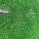 K19_02879