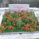 K19_04208